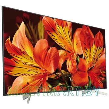 Телевизор Sony KD-65XF8596 картинка 3